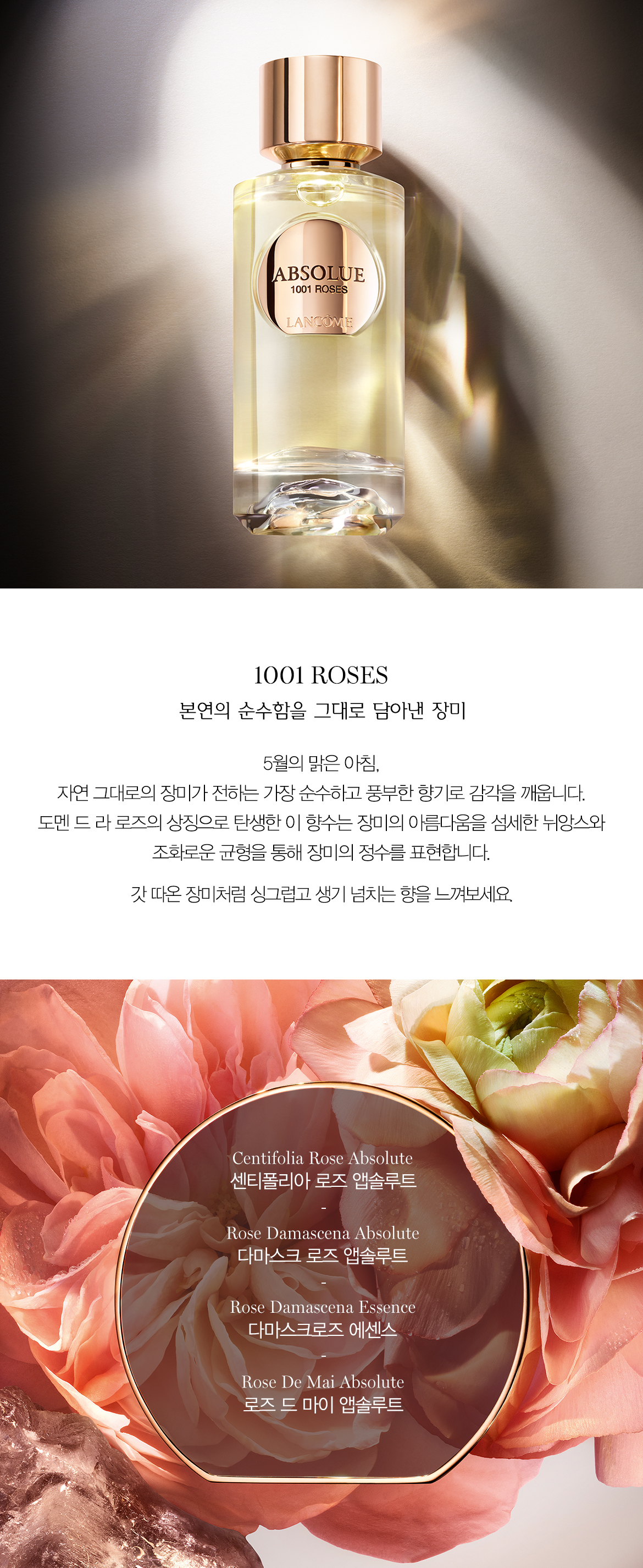 1001 ROSES
